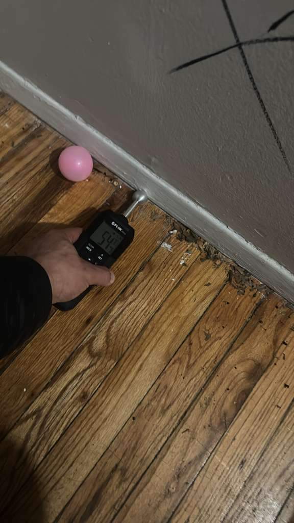 Moisture meter reading on hardwood floor near baseboard